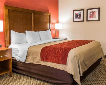 Comfort Inn Boston - 33