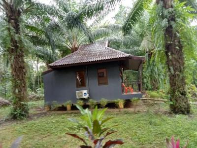 Khao Sok Palm Garden Resort - 74