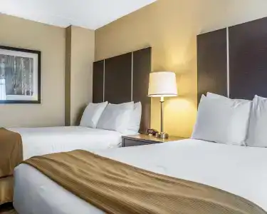 Four Points by Sheraton - Stoney Creek - 5
