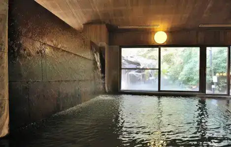 Senjukaku - 17