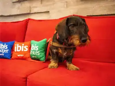 Ibis Merida - 36