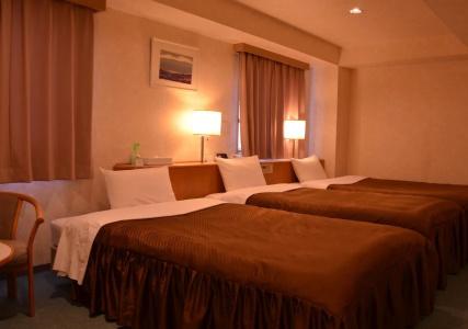 Southern Cross Inn Matsumoto - 4