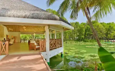 Dreamland Maldives Resort - 15