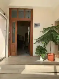 Oasis  - 1