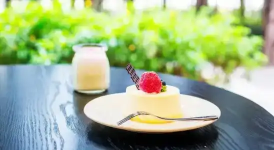 Snowy Sands - 12