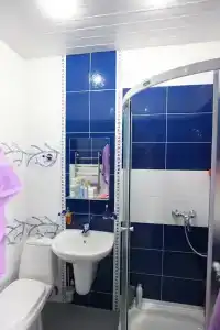 Висс - 60