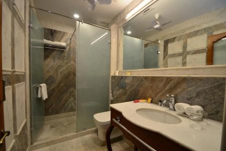 Nirbana Palace - A Heritage and Spa - 8