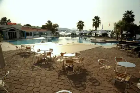 Club Muskebi - 12