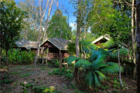 Khaosok Riverside Cottages - 130
