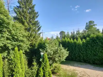 Noclegi-SpŁYwy Bugiem - 9