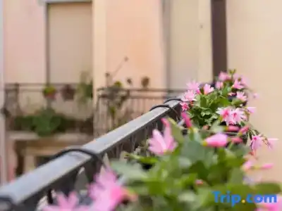 Dimore delle Zagare Ortigia - 90