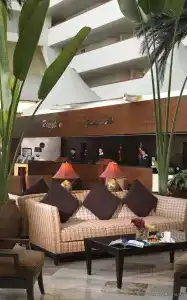 Radisson Blu Resort, Sharjah - 8