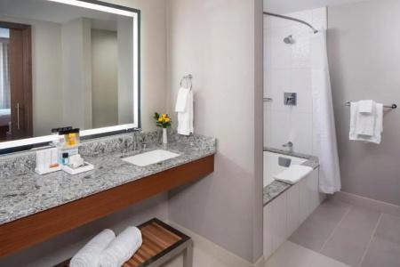 DoubleTree by Hilton - Mayo Clinic Area - 77