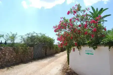 Terra di Leuca - 21