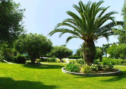 Trikorfo Beach - 3