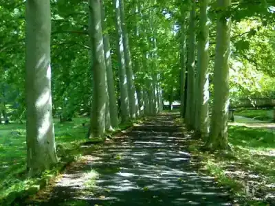 Imereti Health Resort - 20