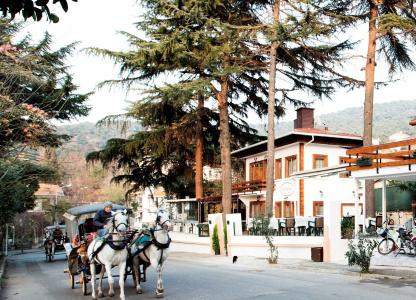 Nizam Butik Otel Büyükada - 13