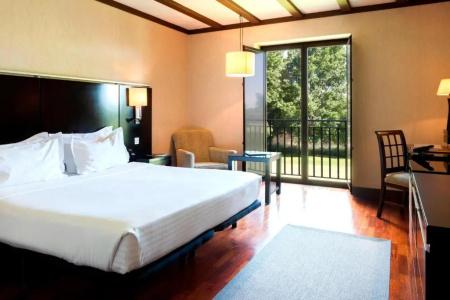 Ac Palacio De Santa Ana By Marriott - 11