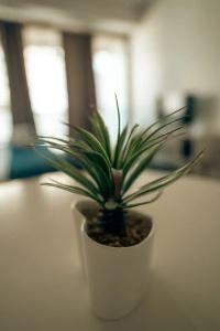 Sucre Suites - 252