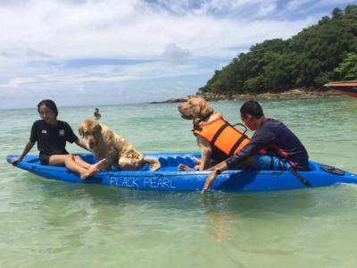 Tubtim Resort SHA extra plus - 41