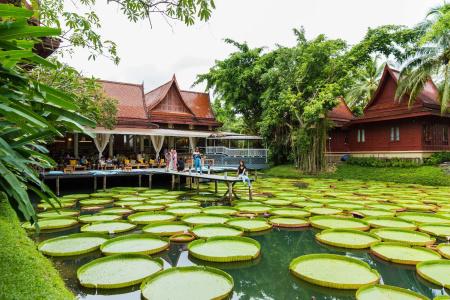 At Panta Phuket - Sha Extra Plus - 9
