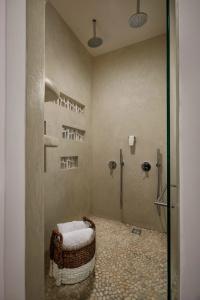 Petri Suites - 82