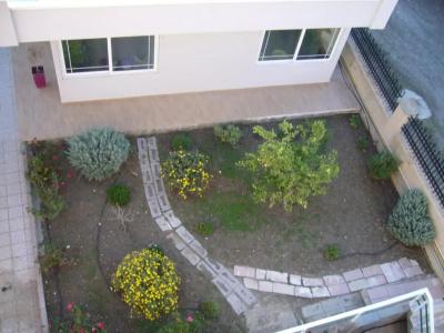 Rhodian Rose - 39