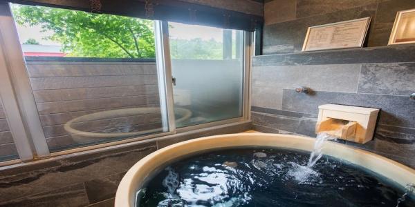 Livemax Resort Hakone Ashinoko - 41