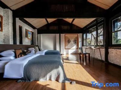 Adonis Inn - 17