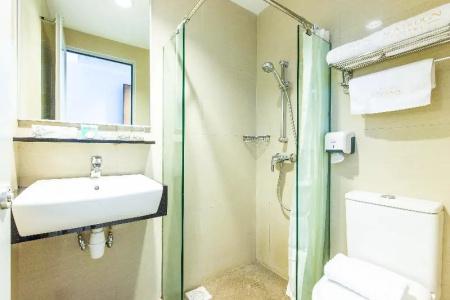 ibis Styles Albert - 65