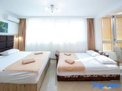 Apartment Sofija - 206