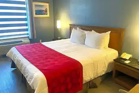 Ramada by Wyndham Los Angeles/Wilshire Center - 17