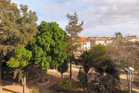 Macia Doñana - 53