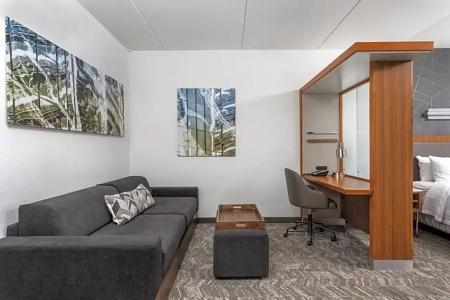 SpringHill Suites by Marriott Downtown/Cameron Harbor - 41