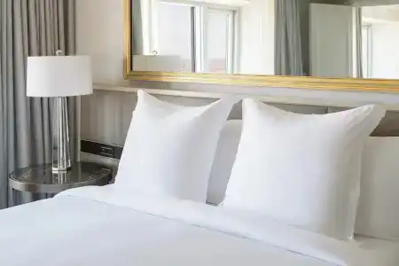 Four Seasons Chicago - 37