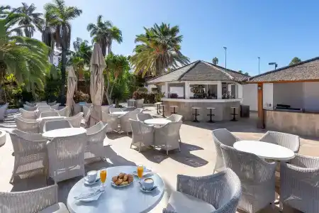 Best Semiramis - 33