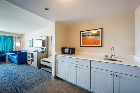 Hampton Inn Virginia Beach Oceanfront North - 99