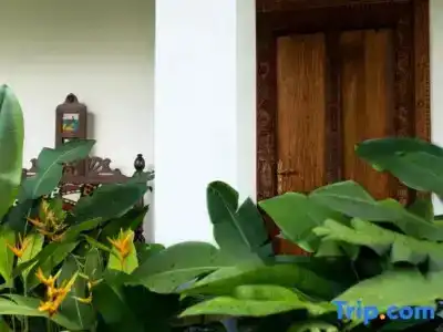 Tikitam Palms Boutique - 48