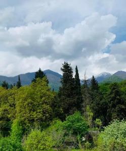 Royal Palace, Lagodekhi - 33