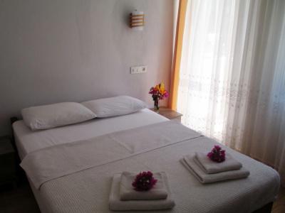 Eucalyptus Pension - 1