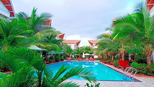Camellia Resort & Spa - 39