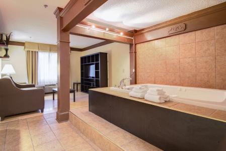 Comfort Inn & Suites North I-75 - 9