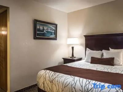 Best Western Plus Yosemite Gateway Inn - 162