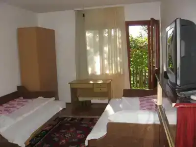 Guest house Pribojska Banja - 8