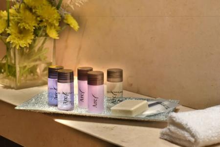 Arc Recoleta Boutique & Spa - 61