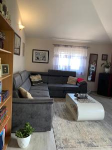 Guest House Mudresa - 17