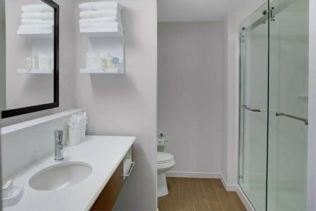 Hampton Inn & Suites, Vt - 30