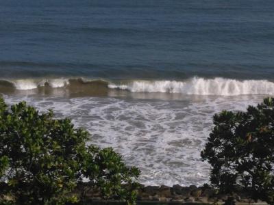 Sea Line - 20