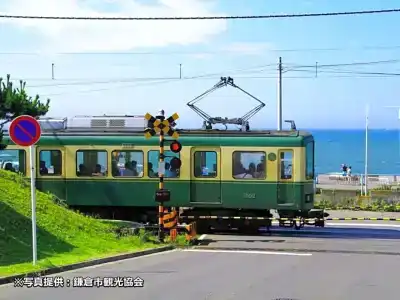 Kamakura Prince - 42
