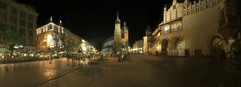 Bonerowski Palace - 0